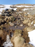 La source de la Savoureuse, qui émerge de la chaume sommitale, jamais tarie du fait de l'humidité exceptionnelle des lieux
